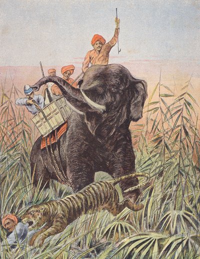 Hon na tygra, Indie (barevná litografie) od French School
