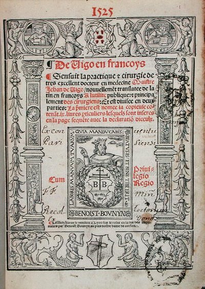 Titulní strana z knihy o chirurgii od Jeana de Viga (1460-1525) 1525 (dřevořez) od French School