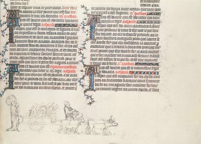 Přeprava věcí na vozíku taženém voly, nedokončená miniatura z Bible Jean de Sy, kolem roku 1355 od French School