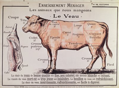 Telecí maso: diagram zobrazující různé kusy masa od French School