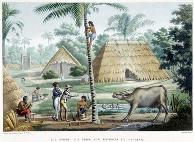 Pohled pořízený v blízkosti Coupang, ostrov Timor. od French School