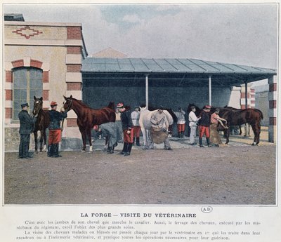 Návštěva armádního zvěrolékaře v kasárnách, 1897 (barevné lito, po kolorované fotografii) od French School