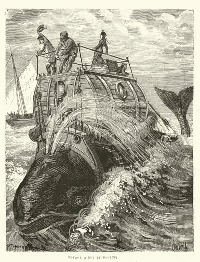 Voyage a Dos de Baleine (rytina) od French School
