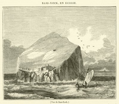 Vue de Bass-Rock (rytina) od French School