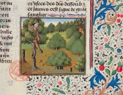 Čekání na jelena skrývajícího se na stromě, z Livre de la Chasse od Gastona Phebuse od French School