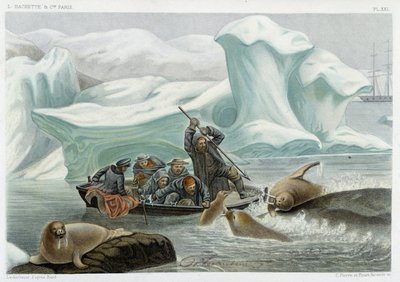 Lov na mrože – v „“ Le monde de la mer “ od Alfreda Fredola, Hachette, Paříž od French School