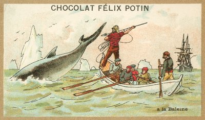 Lov velryb (chromolitho) od French School