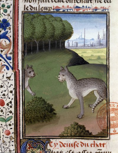 Divoké kočky - v "" Lovecké knize Gastona Phoebuse, hraběte z Foix, Lord of Bearn"" od French School