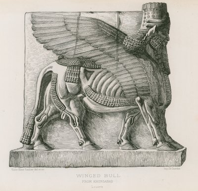 Okřídlený býk, z Khorsabad, Louvre od French School