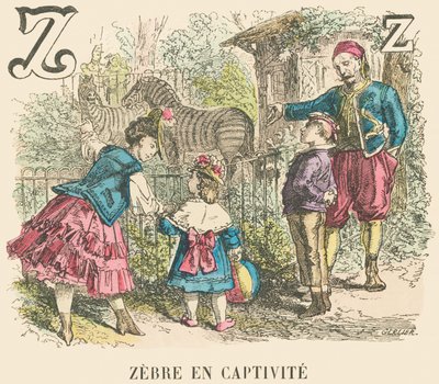Z: Zebra v zajetí od French School