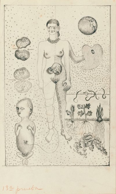 Frida a potrat od Frida Kahlo