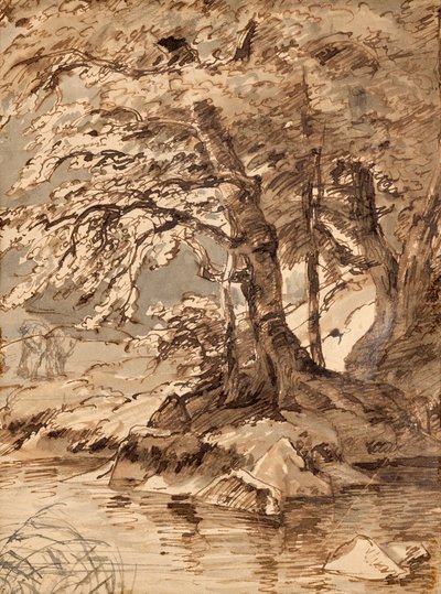 studie stromů od Friedrich August Mathias Gauermann
