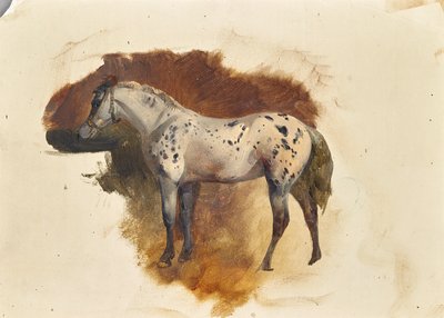 Skvrnitá plíseň od Friedrich August Mathias Gauermann