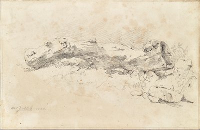 Ležící dutý kmen stromu od Friedrich August Mathias Gauermann