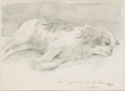 studie psů od Friedrich August von Kaulbach