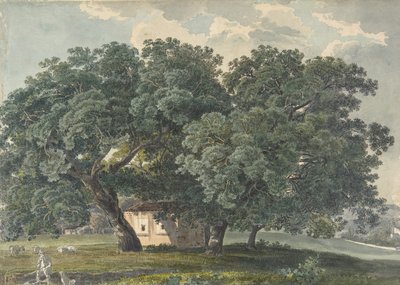 Italská krajina se stromy recto, 1815-21. od Friedrich Salathé