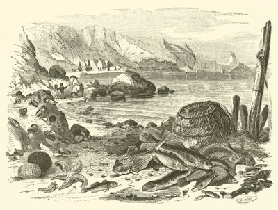 Rybaření (rytí) od Friedrich Specht