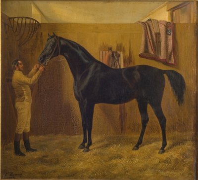 Černá kometa od Fritz Thomsen