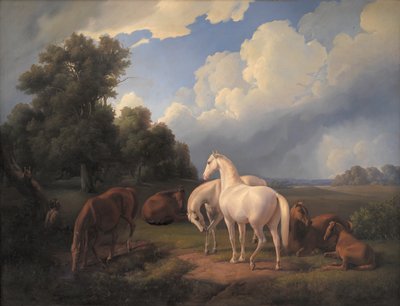 Lucia, Whimsey, Bellona, Hertha, Olga od Fritz Thomsen