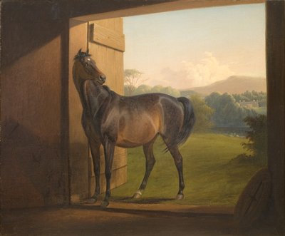 Reveler Mare od Fritz Thomsen