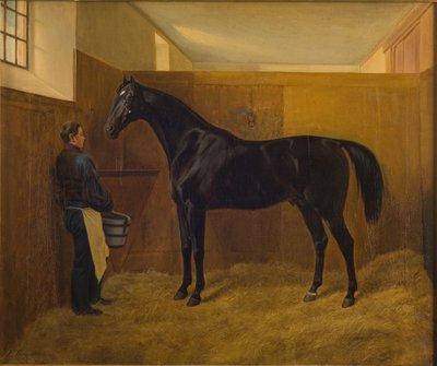 Nohy od Fritz Thomsen