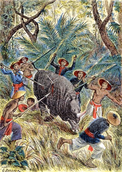 Lov nosorožců, Francouzská Indočína, cca 1900 (ilustrace) od G. Dascher