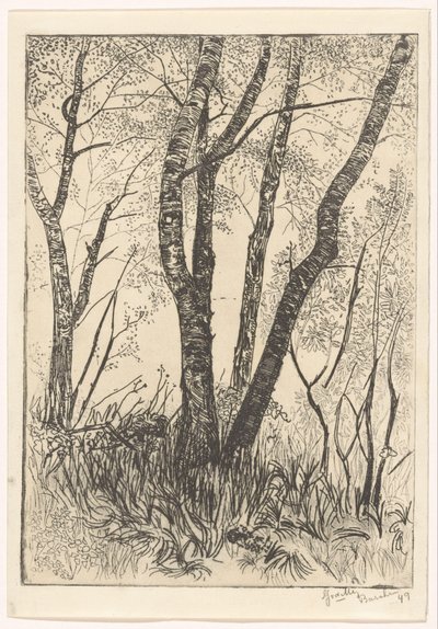 Stromy ve vysoké trávě od G. van der Mey (signed by artist)