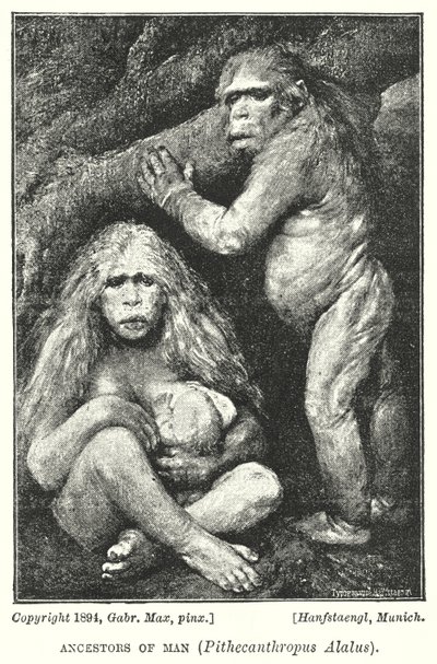 Předchůdci člověka, Pithecanthropus Alalus (litho) od Gabriel Max