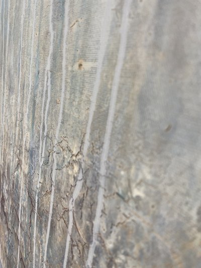  od Gabriela Aleksandra Szuba