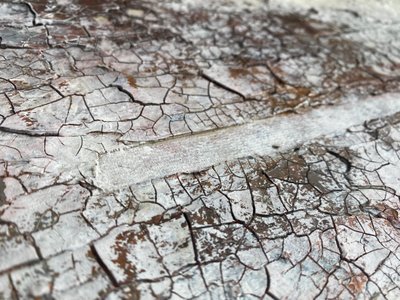  od Gabriela Aleksandra Szuba