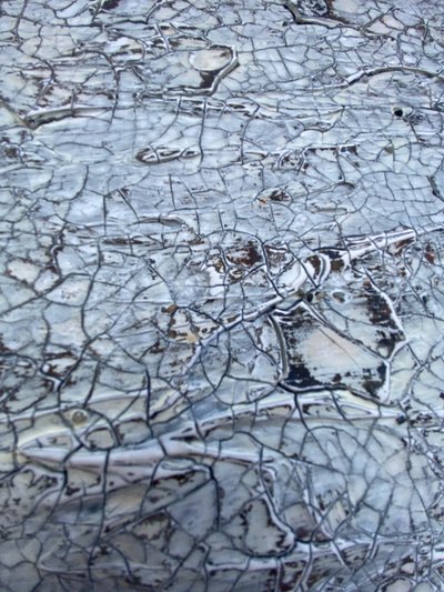  od Gabriela Aleksandra Szuba