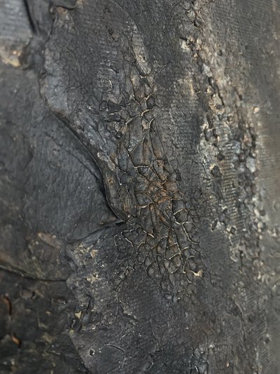  od Gabriela Aleksandra Szuba