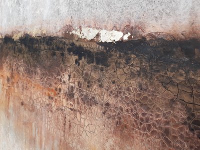  od Gabriela Aleksandra Szuba