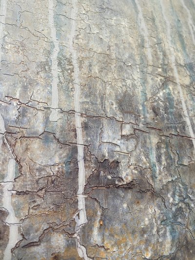  od Gabriela Aleksandra Szuba