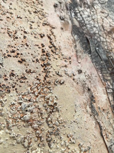  od Gabriela Aleksandra Szuba