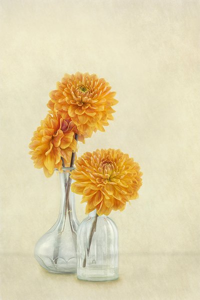  od Gaille Gray