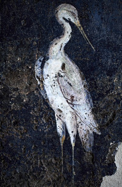 Římská nástěnná malba od Gallo-Roman