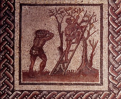 Gallo Roman Art: mozaiková dlažba představující rustikální kalendář. Scéna se sběrem oliv. Konec 2., začátek 3. století po JC. Ze Saint-Romain-en-Gal (Rhone). Saint Germain en Laye, Národní muzeum archeologie od Gallo Roman