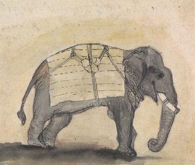 Slon od Gangaram Chintaman Tambat