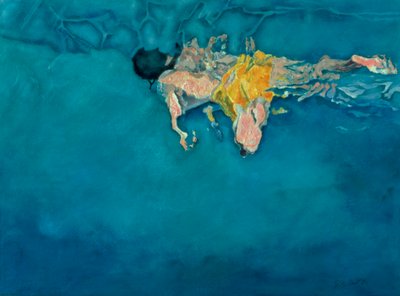 Plavec ve žlutém, 1990 od Gareth Lloyd Ball