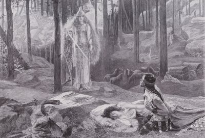 Zjevení (Brunnhilde objevuje Sieglinde a Siegmunda) (litho) od Gaston Bussiere