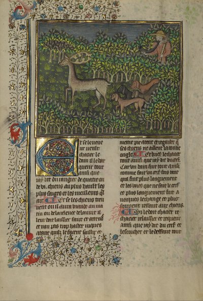 Kniha lovu od Gaston Phébus