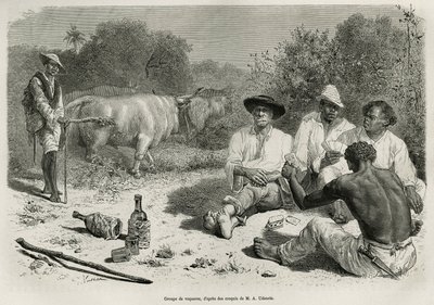 Skupina vaqueros hrajících karty a pijících alkohol poblíž stád volů, rytina podle kresby G. Vuilliera, pro ilustraci příběhu De Cayenne aux Andes, od Julese Crevauxe, doktora francouzského námořnictva, v letech 1878-1879, vyd. v tour du mon od Gaston Vuillier