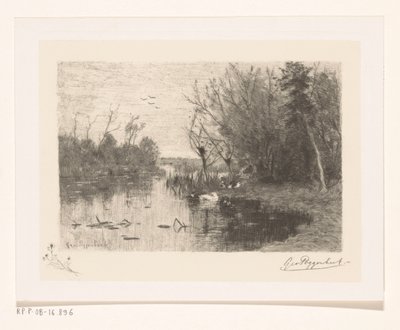 Kachny podél a na břehu jezera Duck pee (původní název) od Geo Poggenbeek (signed by artist)
