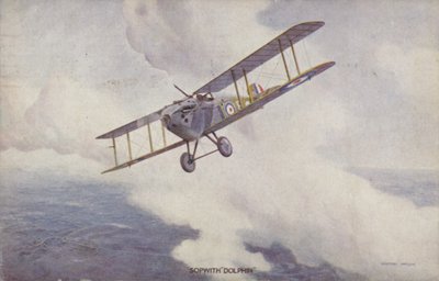 Sopwith Dolphin stíhací letoun (barva lito) od Geoffrey (after) Watson