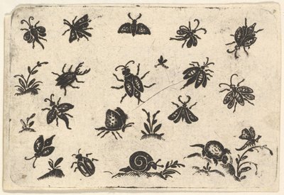 Malé motivy hmyzu a rostlin, 1596. od Georg Herman