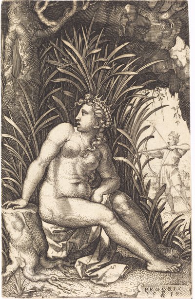 procris od Georg Pencz