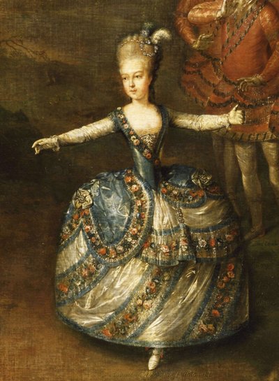 Slavnost pořádaná na oslavu svatby císaře Josefa II. s princeznou Marií-Josèphe Bavarskou od Johann Georg Weikert