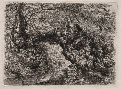 Stará vrba u potoka, 1794. od Georg von Dillis