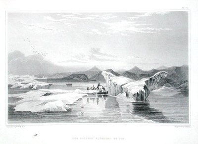 Delfín vymačkaný ledem, z „Příběhu cesty k pobřeží Polárního moře v letech 1819-22“ od Sira Johna Franklina (1786-1847), vyrytý Edwardem Findenem (1791-1857), publikováno 1823-28 (barevně rytina) od George (after) Back